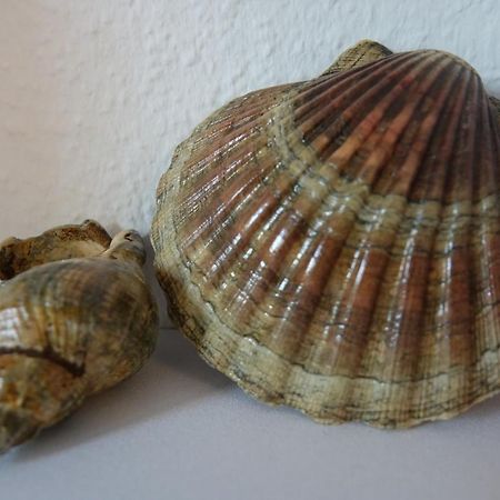 Ferienwohnung Kiel Dış mekan fotoğraf