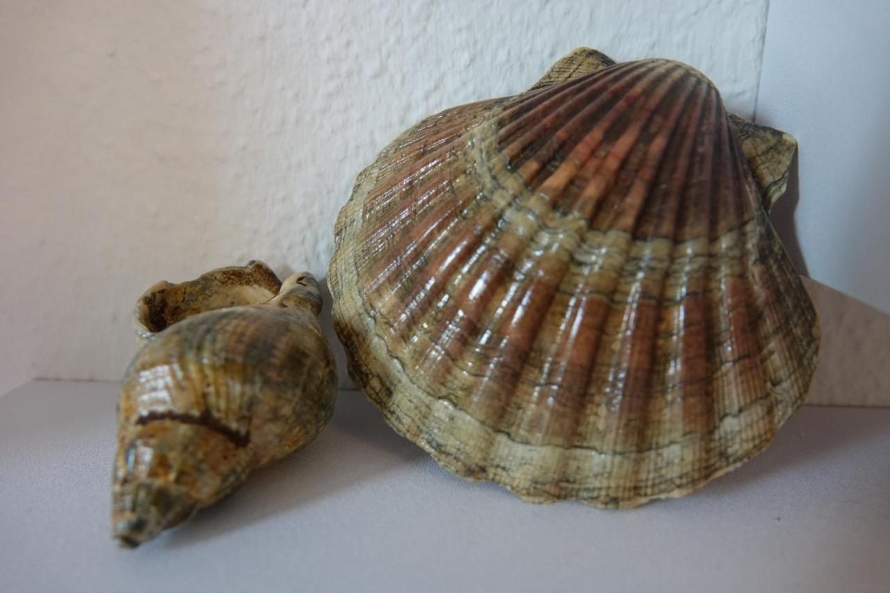 Ferienwohnung Kiel Dış mekan fotoğraf